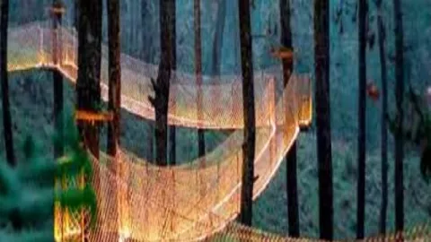 Menpar: 10 Alasan Millenials Harus ke Orchid Forest Cikole - GenPI.co