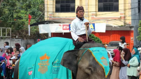 Hanya di Lampung, Gajah Ikut Karnaval - GenPI.co