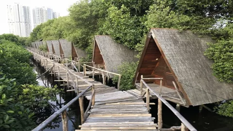 Serunya Sensasi Menginap di Tengah Hutan di Kota Jakarta - GenPI.co