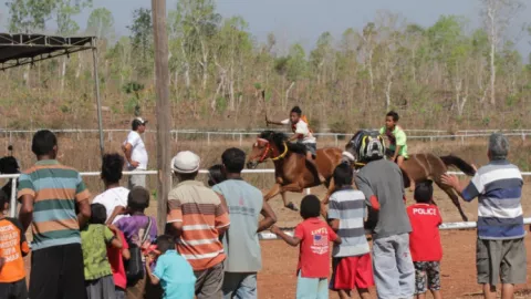 Adrenalin Besar Pacuan Kuda Tradisional Kefamenanu - GenPI.co