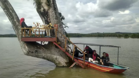 Wisata Alam Sungai Paku, Sajikan Pemandangan Memukau - GenPI.co