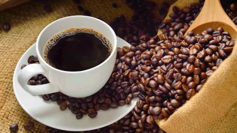 Nikmati Seduhan Luwak Coffee ‘Pawon’ Borobudur yang Mendunia - GenPI.co