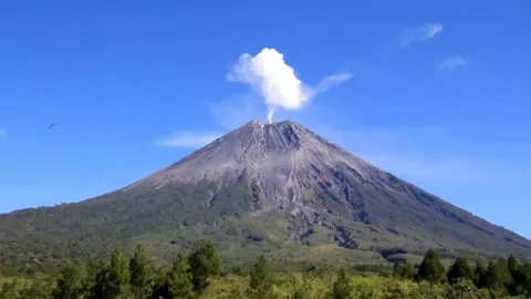 Bukti Gunung Semeru Memang Layak Menjadi Idola Para Pendaki - GenPI.co
