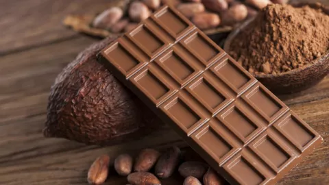 Penelitian Ungkap Cokelat Pahit Dapat Menghilangkan Stres - GenPI.co