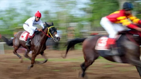 Pacuan Kuda Piala Gubernur NTT jadi Magnet Wisman - GenPI.co