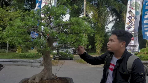 Pameran Bonsai Dapat Menarik Wisatawan ke Riau - GenPI.co