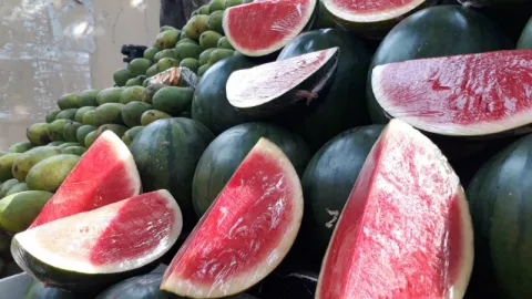 Ayo Ke Sulawesi Tengah, “Festival Buah” Sedang Berlangsung - GenPI.co