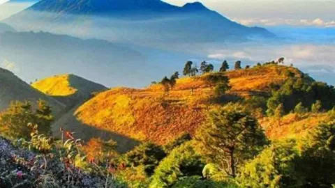 Pendakian Gunung Prau Ditutup 3 Bulan Untuk Reboisasi - GenPI.co