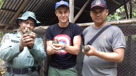 Maleo Menjadi Daya Tarik Wisatawan Mancanegara Datang Ke Gorontalo - GenPI.co