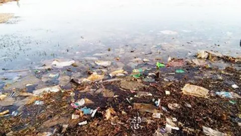 Simak Cara Kelola Sampah Plastik Dengan Bijak Menurut Pakar - GenPI.co