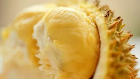 Benarkah Durian Mengandung Kolesterol? Ini Penjelasan Ahli Nutrisi - GenPI.co