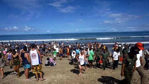 Ratusan Turis Lepasliarkan Penyu dan Tukik di Pantai Kuta - GenPI.co