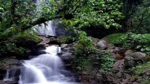 Tamasya Ke Puncak Bogor, Mampir ke Curug Yuk! - GenPI.co