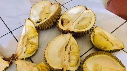 Sumatera Utara Lagi Musim Durian, Harganya Cuma Rp 5.000/Buah - GenPI.co