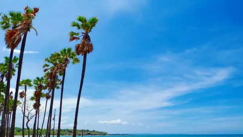 Meski Tak Terawat, Pantai Lasiana Jadi Favorit di Libur Lebaran - GenPI.co