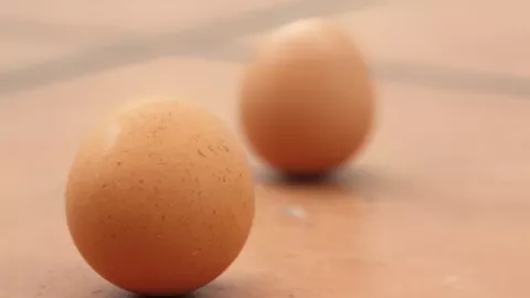 Fenomena Telur Berdiri saat Perayaan Peh Cun - GenPI.co
