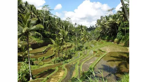 Bali Masuk 10 Besar Destinasi Pengalaman Liburan Terbaik Dunia - GenPI.co