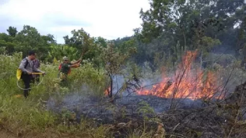Musim Kemarau, 141 Hektare Kawasan Hutan Gunung Rinjani Terbakar - GenPI.co