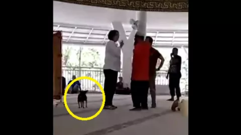 Anjing Milik Ibu yang Masuk ke Masjid di Sentul Ditemukan Mati - GenPI.co