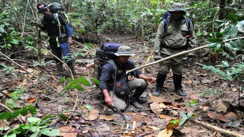 BBKSDA Riau Operasi Bersihkan Jerat Satwa di Hutan - GenPI.co