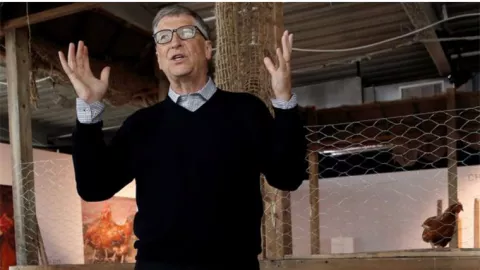 Pendiri Microsoft Bill Gates Ingin Ternak Ayam, Kenapa? - GenPI.co