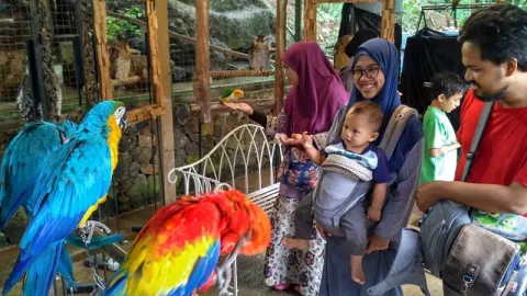 Yuk Ajak Anak Main Bersama Burung di Bird & Bromelia Pavilion - GenPI.co