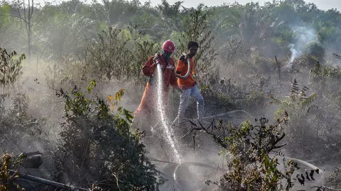Karhutla 'Menahun', Kebakaran Landa 2 Hektar Lahan di Kampar Riau - GenPI.co