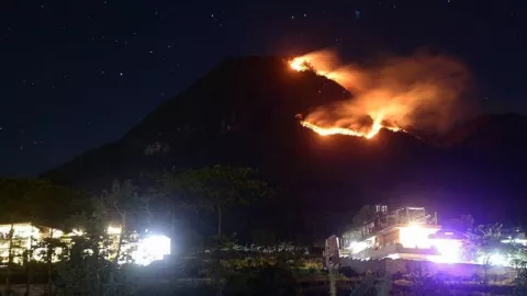 Minggu Malam, Puncak Gunung Panderman Dilalap Jago Merah - GenPI.co