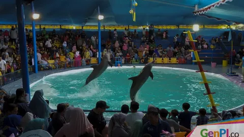 Kecerian Anak Melihat Atraksi Sirkus Lumba-lumba di Pekanbaru - GenPI.co