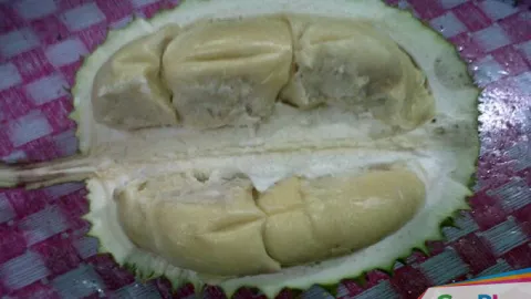 Yes Durian Ucok Medan Bisa dijumpai di Kalibata, Jakarta Selatan - GenPI.co