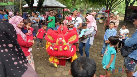 Ada Barongsai di Semarang Zoo, Kehadirannya Sungguh Memikat Perhatian Pengunjung - GenPI.co