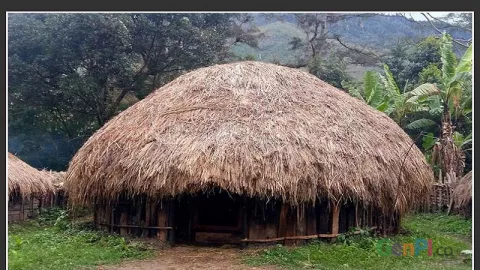 Fakta Unik Honai Rumah Adat Papua, No 1 Bikin Kamu Terkejut! - GenPI.co