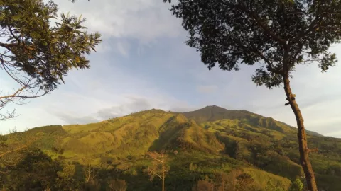 Mengagumi Keindahan Gunung Arjuno dari Budug Asu - GenPI.co