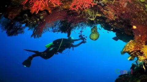 Ini Spot Diving Keren di Kabupaten Pohuwato - GenPI.co