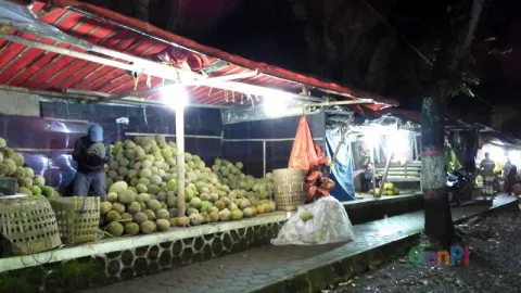 Rasanya Unik, Durian Ini Diburu Pembeli - GenPI.co