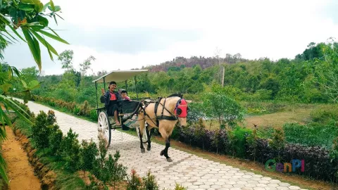 Sensasi Berkuda di Desa Wisata Ekang - GenPI.co