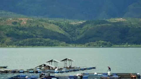 Jumlah Keramba Bertambah, Danau Singkarak Tercemar - GenPI.co