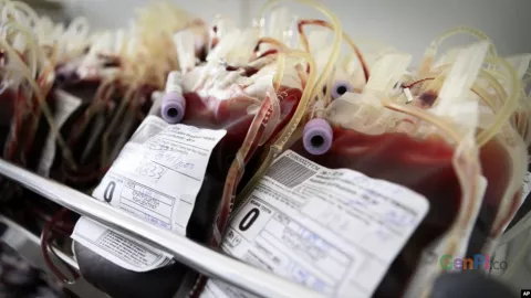 Apakah Donor Darah Membatalkan Puasa? - GenPI.co