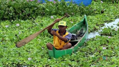 Gorontalo-Jepang Kerjasama Pemberdayaan Masyarakat Danau Limboto - GenPI.co