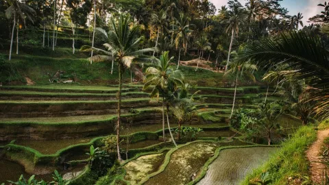 Ubud Kota Terbaik ke-6 di Dunia Versi Travel and Leisure - GenPI.co