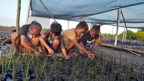 Mengintip Keceriaan Anak Suku Bajau Menanam Mangrove - GenPI.co