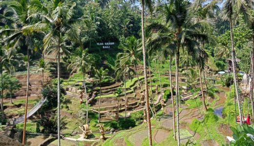 Pariwisata Bali Sukses Pancing Wisman, Ubud Kota Terbaik Asia - GenPI.co BALI