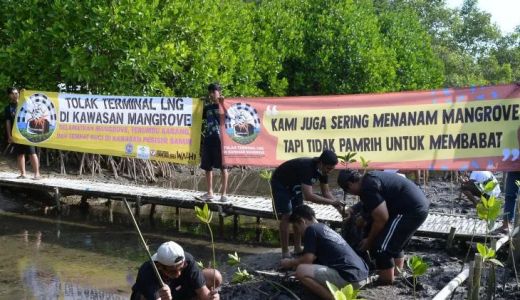 Tolak Terminal LNG, Warga Intaran Sanur Bali Tanam Mangrove - GenPI.co BALI