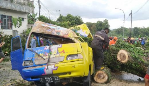 Duh! Pohon Tumbang Timpa Mobil di Tasikmalaya, 1 Korban Terluka - GenPI.co JABAR