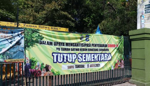 Bertemu Satwa KBS Surabaya Wajib Prokes - GenPI.co JATIM