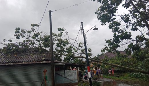 Prakiraan Cuaca di Jawa Timur, Waspada Hujan Mulai Pagi - GenPI.co JATIM