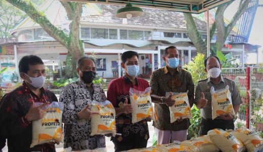 UMM Luncurkan Profeed, Makanan Praktis untuk Sapi - GenPI.co JATIM