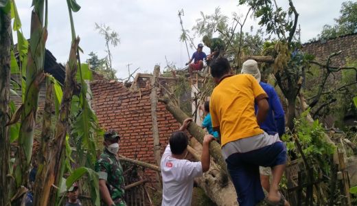 Hujan Deras di Kabupaten Malang, Pohon Tumbang Menimpa 3 Rumah - GenPI.co JATIM