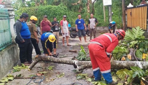 Mohon Doanya, Kondisi di Yogyakarta Akibat Hujan Lebat Siang Ini - GenPI.co JOGJA