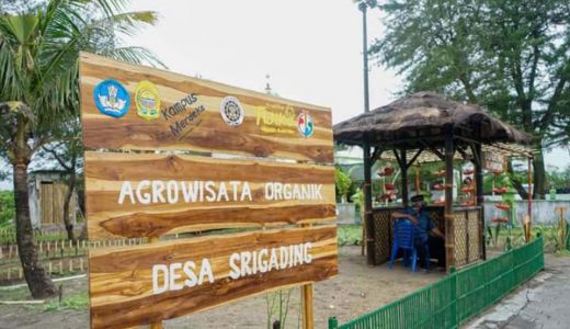 Agrowisata Organik Diharap Kembalikan Eksistensi Pantai Samas - GenPI.co JOGJA